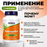 NOW FOODS ASTRAGALUS 500mg 100 капсул NS29471